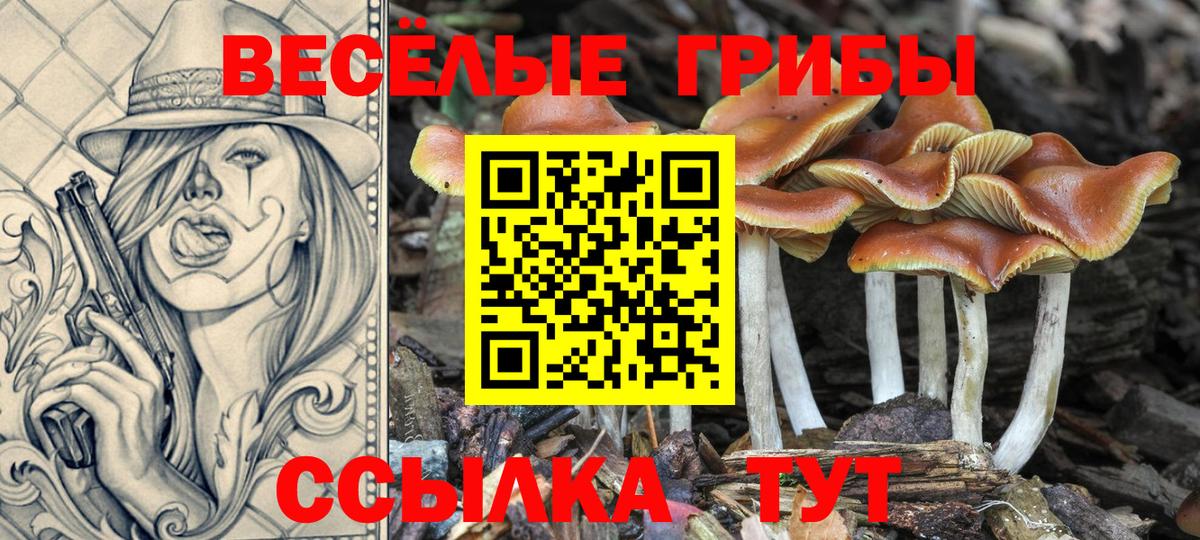 Псилоцибиновые грибы прущие грибы  Псилоцибиновые грибы мухоморы  Якутск  Вход с VPN 